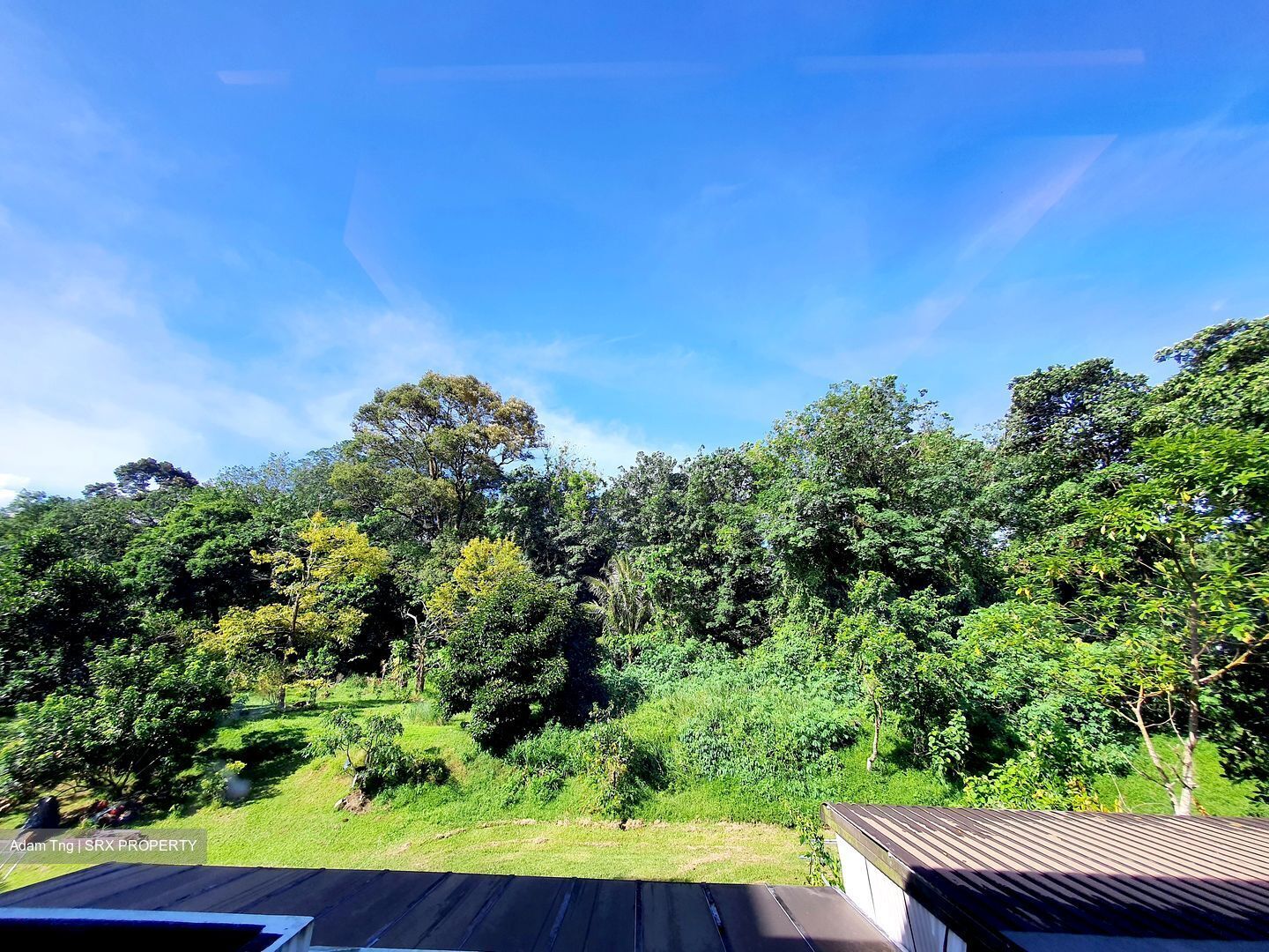 Springleaf Garden (D26), Semi-Detached #357817541